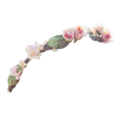 Thin Elegant Leaf With Flower Crown Transparent Png PNG Images