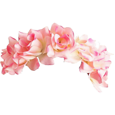 Tumblr Pink Flower Crown Free Png PNG Images