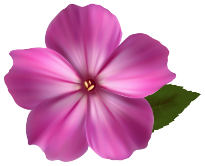 Download FLOWER Free PNG transparent image and clipart