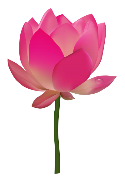 Download FLOWER Free PNG transparent image and clipart