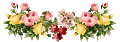 Flower Designs Border Png PNG Images