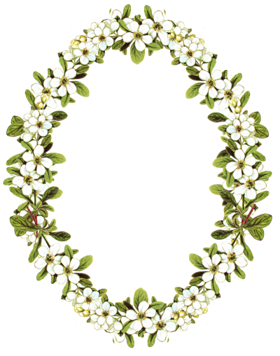 Download FLOWERS BORDERS Free PNG transparent image and clipart