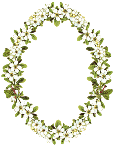 Flower Frame Images PNG Images