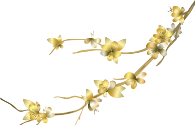 Flower Vectors Various Transparent Image PNG Images