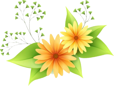 Flowers Vectors Png Transparent Pictures PNG Images