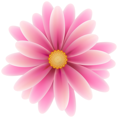 Flowers High Quality PNG PNG Images
