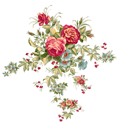 Flowers Free Download PNG Images