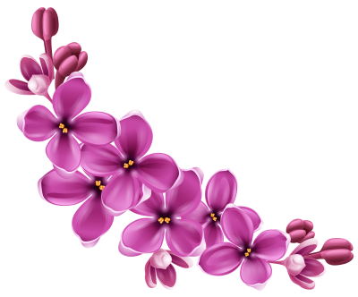 Flowers Wonderful Picture Images PNG Images