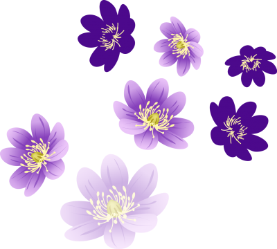Flowers Images PNG PNG Images