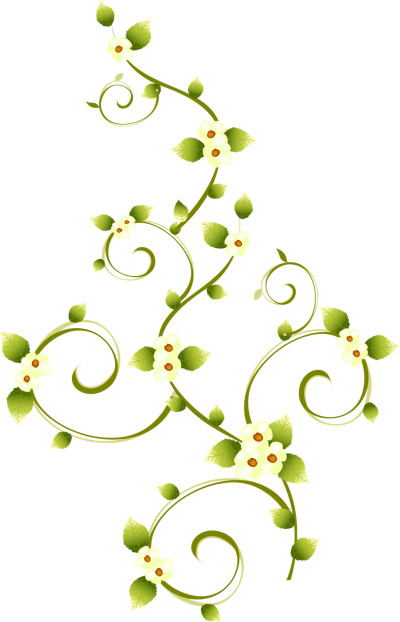 Flowers Transparent PNG Images