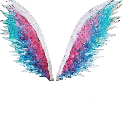 Digital Colorful Butterfly Wings Fotos Transparent Free Download PNG Images