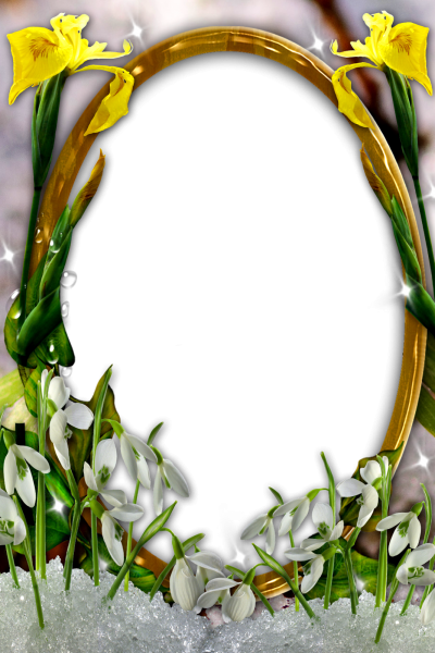 Yellow Flower Coated Mirror Fotos Hd Clipart PNG Images