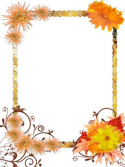Embroidered Orange Background Frame Fotos Free Download PNG Images