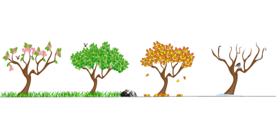 Tree, Gigantic, Nature, Picture, Png PNG Images