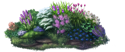 Garden Different Plants Transparent Png PNG Images