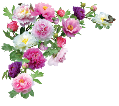 Garden Flowers Frame Png Free PNG Images