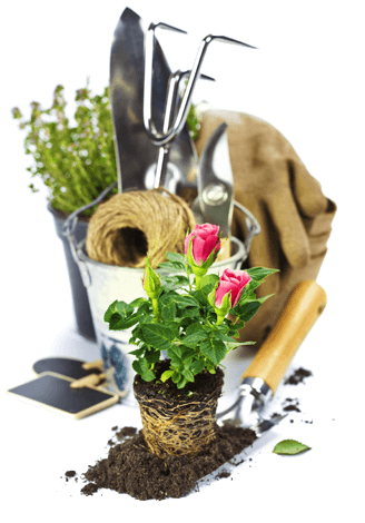 Garden Tools Png Hd PNG Images