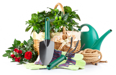 Lawn Garden Tools Clipart Png PNG Images
