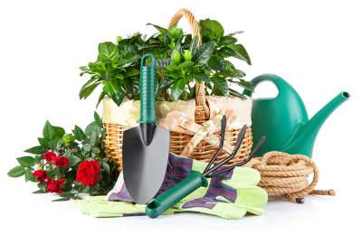 Clipart For Gardening