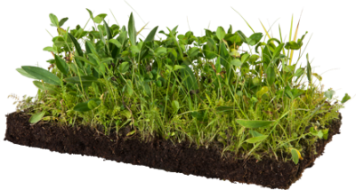 Soil, Fertilizer Plant Garden Transparent Hd PNG Images