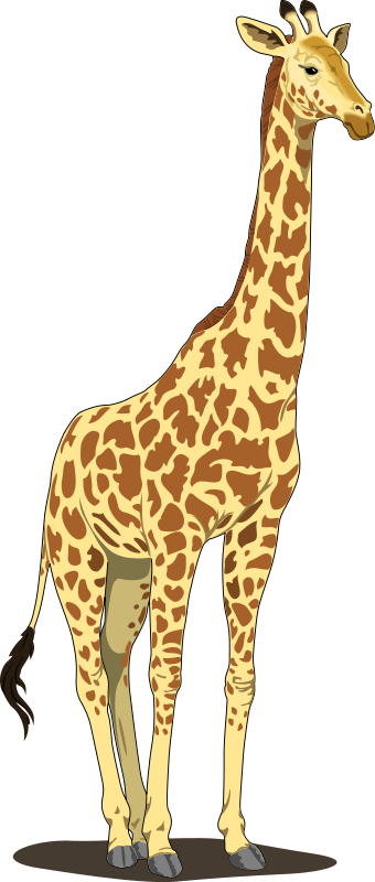 Cartoon Character Giraffe Clipart PNG Images