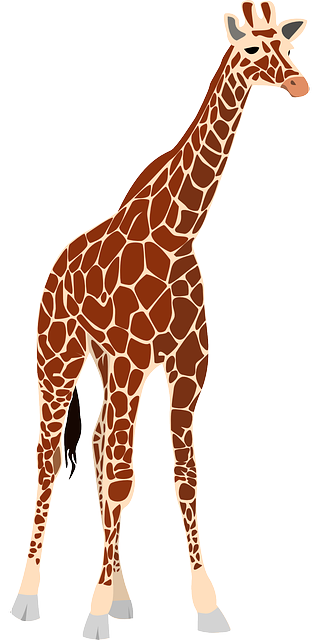 Giraffe Drawing Clipart PNG Images