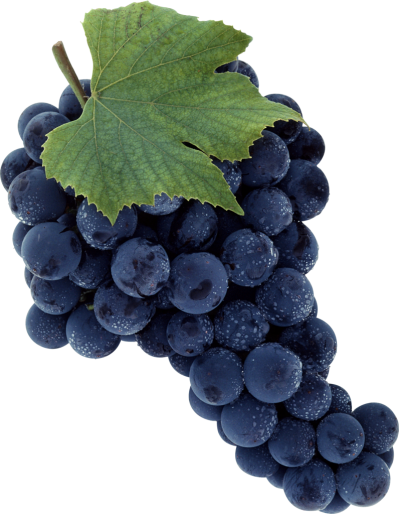 Sweet Purple Grapes Picture PNG Images