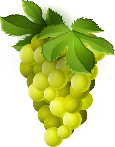 Fruit Grape Clipart Green Photos PNG Images