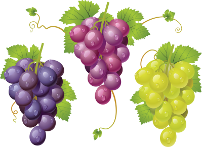 Purple, Green, Grape Leaf Fruit Transparent PNG PNG Images
