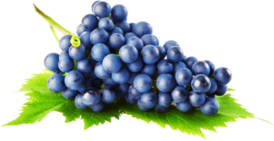 Simple And Beautiful Picture Of Grapes PNG Images