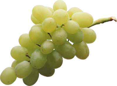 Grape Transparent Picture PNG Images