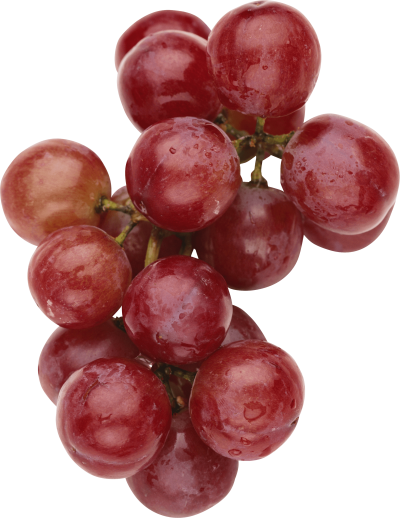 Simple Red Grapes PNG PNG Images