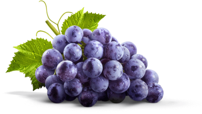 Beautiful Purple Grape PNG Image PNG Images