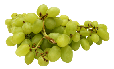 Vineyard, Grape Transparent Image PNG Images