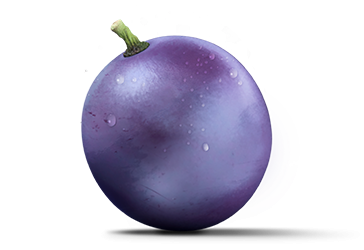 Purple Grape Single Png Free PNG Images