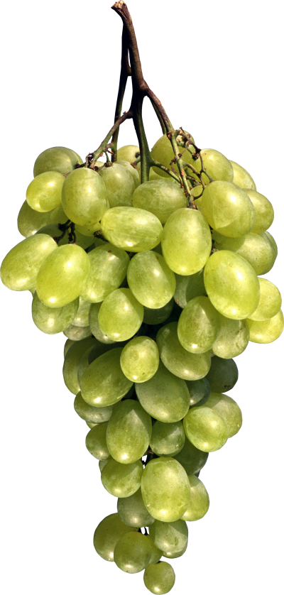 Delicious Grapes, Grape Fruit Png PNG Images