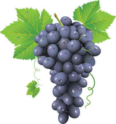 Grape Clipart PNG Images