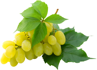 Leaf With Grape Download Transparent PNG Images