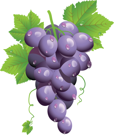 Purple Grape Vector Photo Download PNG Images