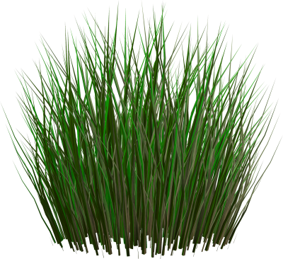 Transparent Soil Green Grass, Background, Sunlight PNG Images