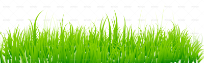 Download GRASS Free PNG transparent image and clipart