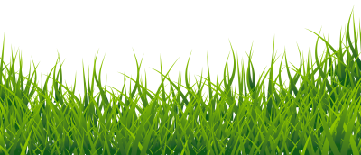 Grass Clipart Pictures PNG Images