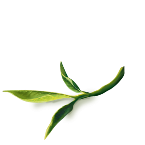 Green Tea PNG Icon PNG Images