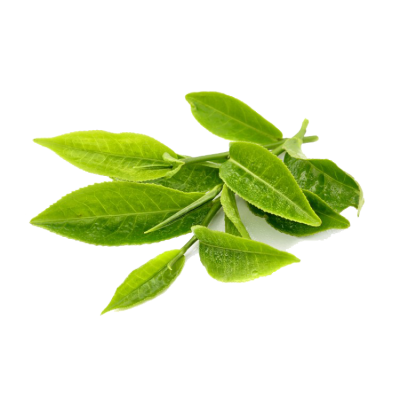 Green Tea Images PNG PNG Images
