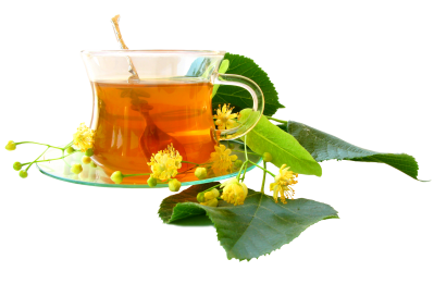 Green Tea Png Clipart Transparent PNG Images