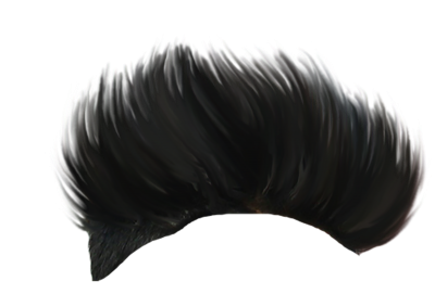 Png Black Men Hairstyle, Hairdresser, Style, Hair Styles - 27873 -  TransparentPNG