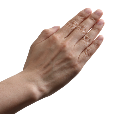 Transparent Image Hand PNG Images