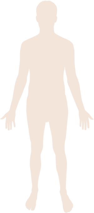 Human Body Map Clipart Png PNG Images