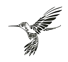 Photo HD Png Hummingbird Tattoos PNG Images