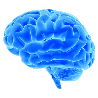 Blue Brain Transparent image PNG Images